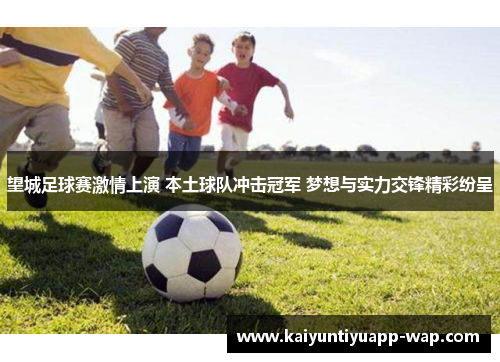 望城足球赛激情上演 本土球队冲击冠军 梦想与实力交锋精彩纷呈